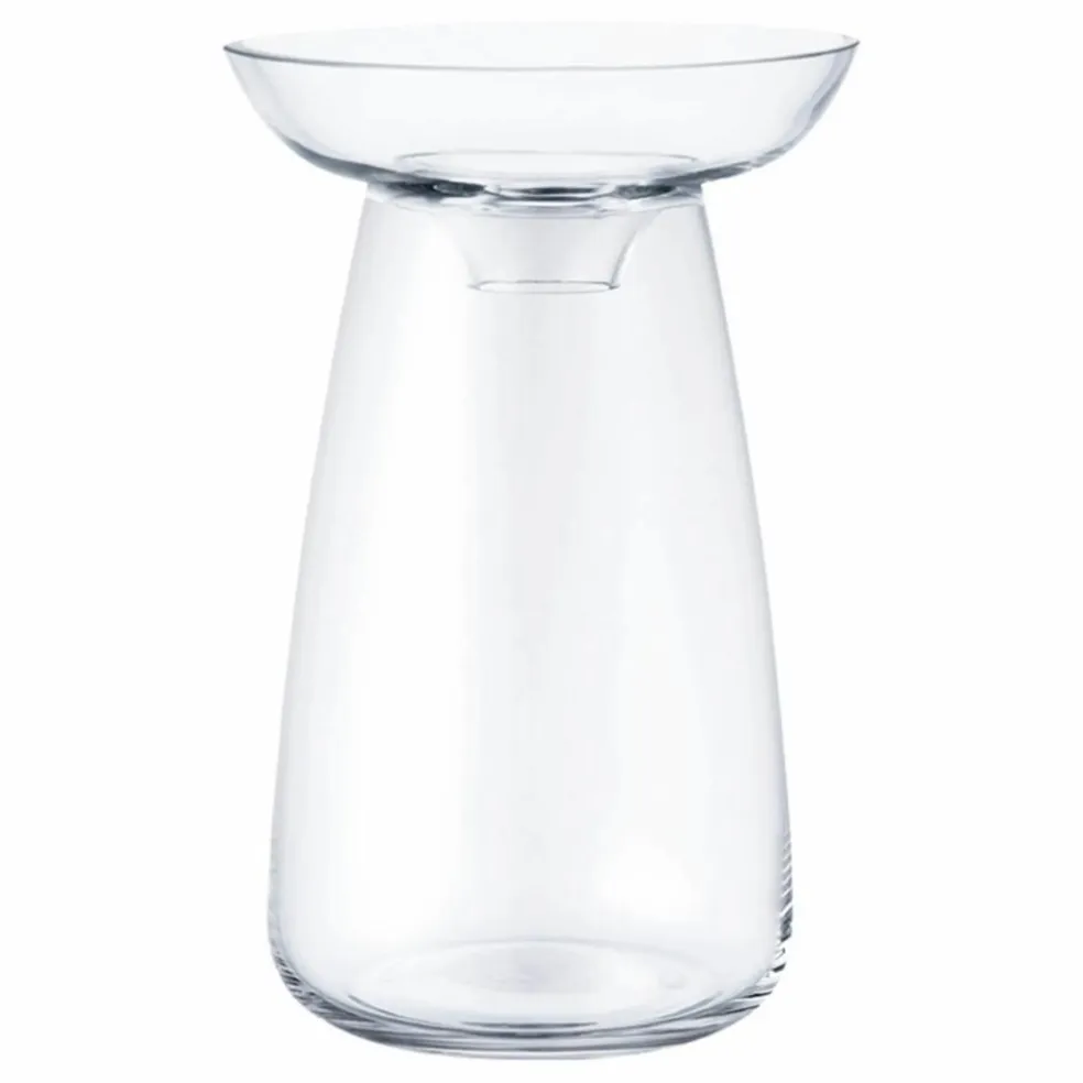 Vase en verre Aquaculture | Transparent