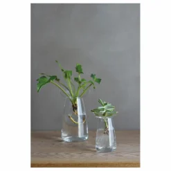 Vase en verre Aquaculture | Transparent