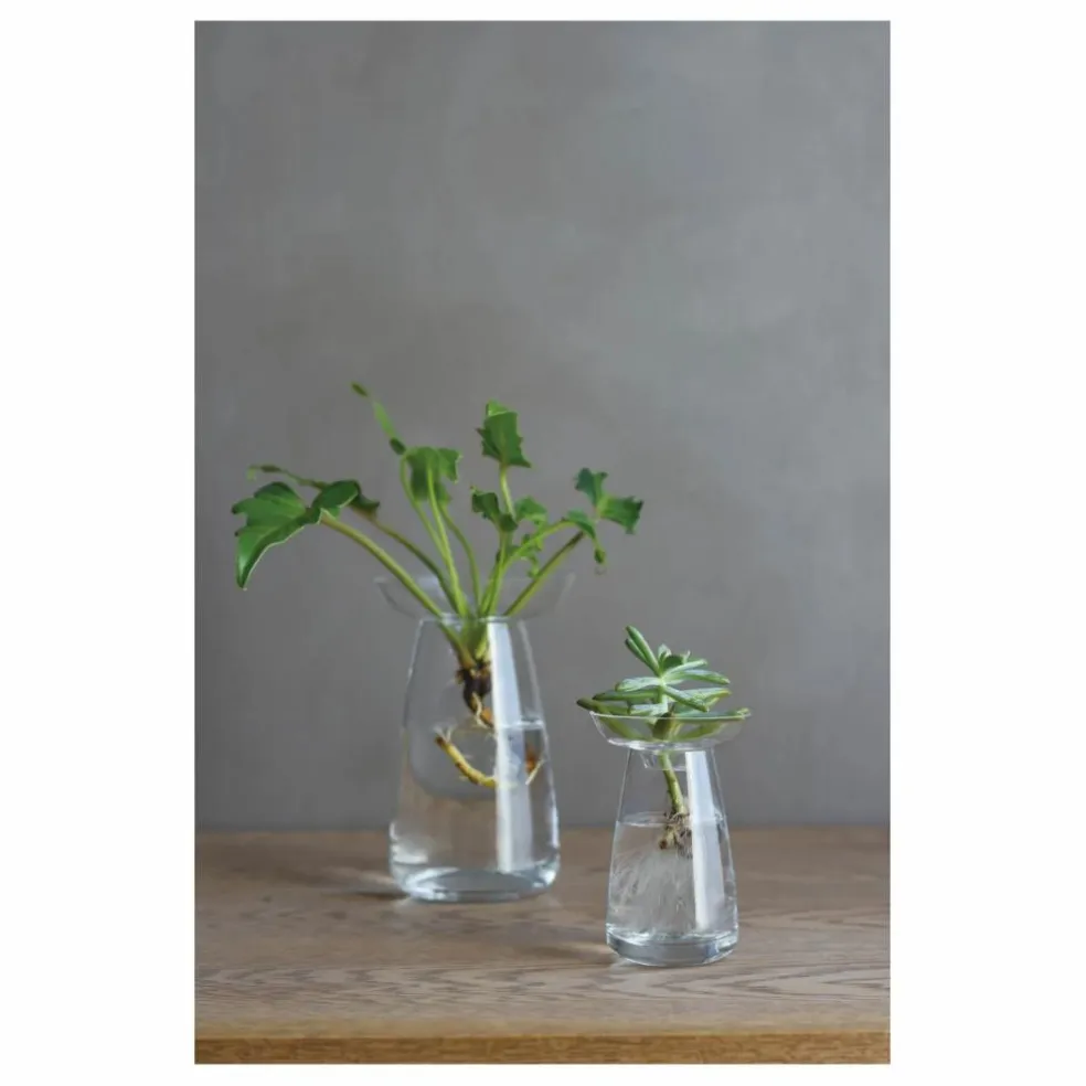 Vase en verre Aquaculture | Transparent