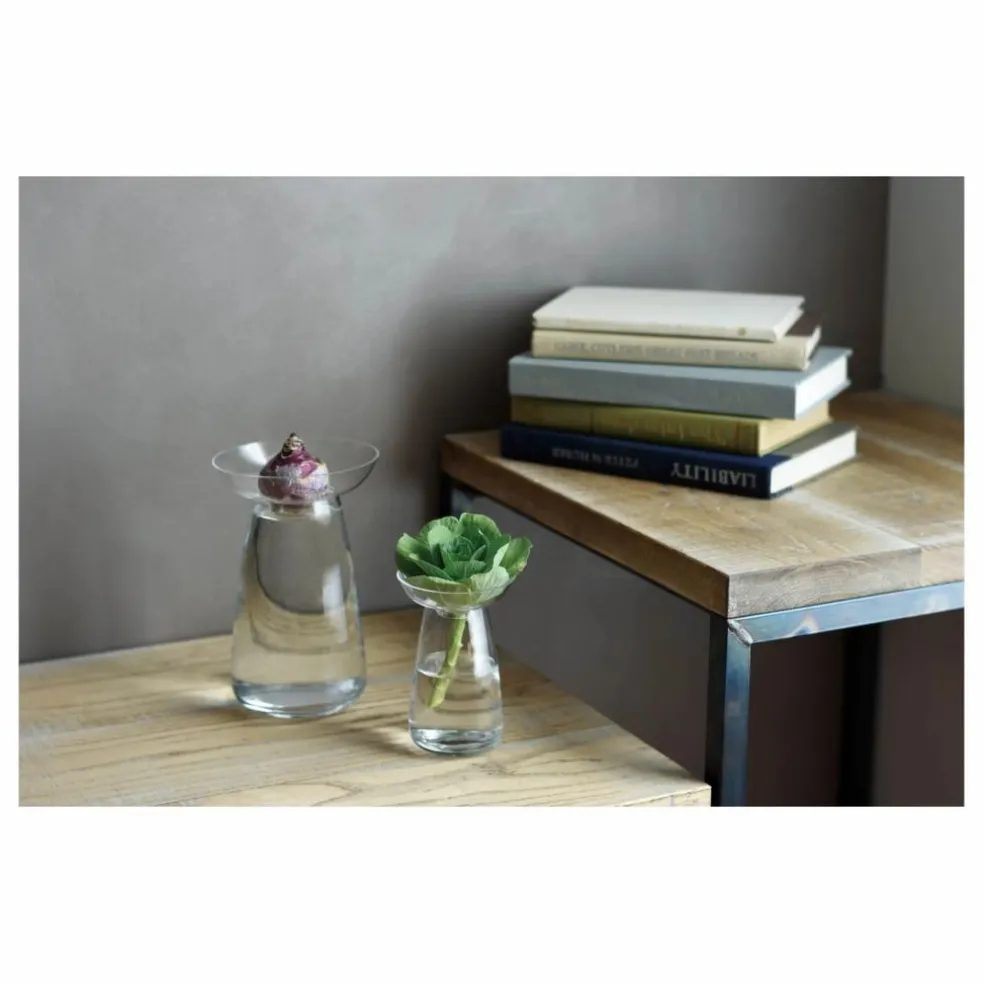 Vase en verre Aquaculture | Transparent
