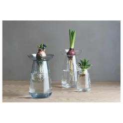 Vase en verre Aquaculture | Transparent
