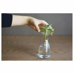 Vase en verre Aquaculture | Transparent