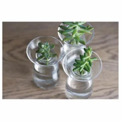 Vase en verre Aquaculture | Transparent