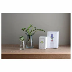 Vase en verre Aquaculture | Transparent