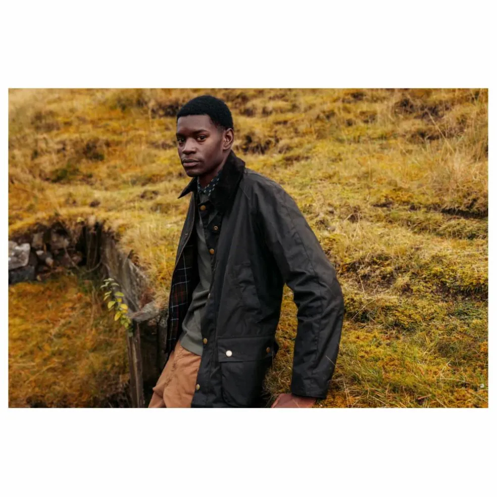 Veste Ashby Wax | Vert olive