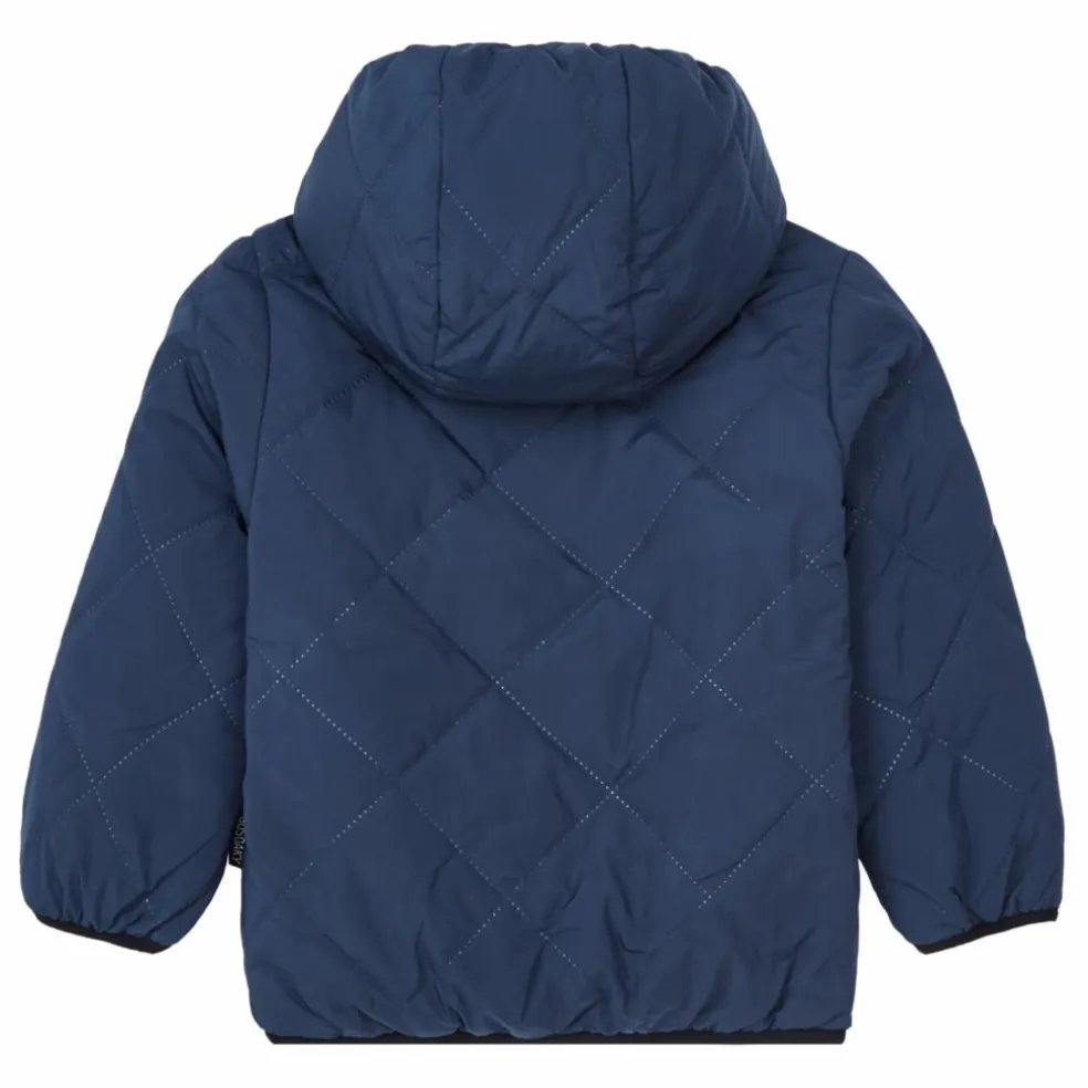 Veste Baby Shark | Bleu marine