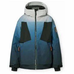 Veste de Ski Alpine Ice | Bleu