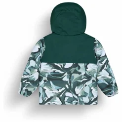 Veste de ski Snowy | Vert