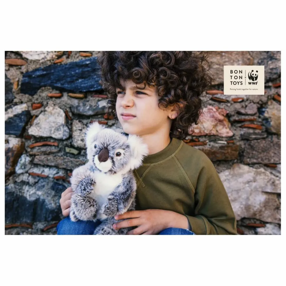 WWF - Peluche Koala | Gris
